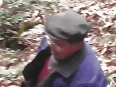 森シリーズ - 森林野生